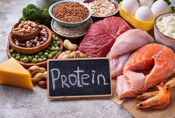  Kế hoạch với một chế độ ăn giàu Protein