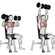 Dumbbell Vs Barbell Shoulder Press At Lester Shippy Blog Dumbbell Vs Barbell Shoulder Press At Lester Shippy Blog