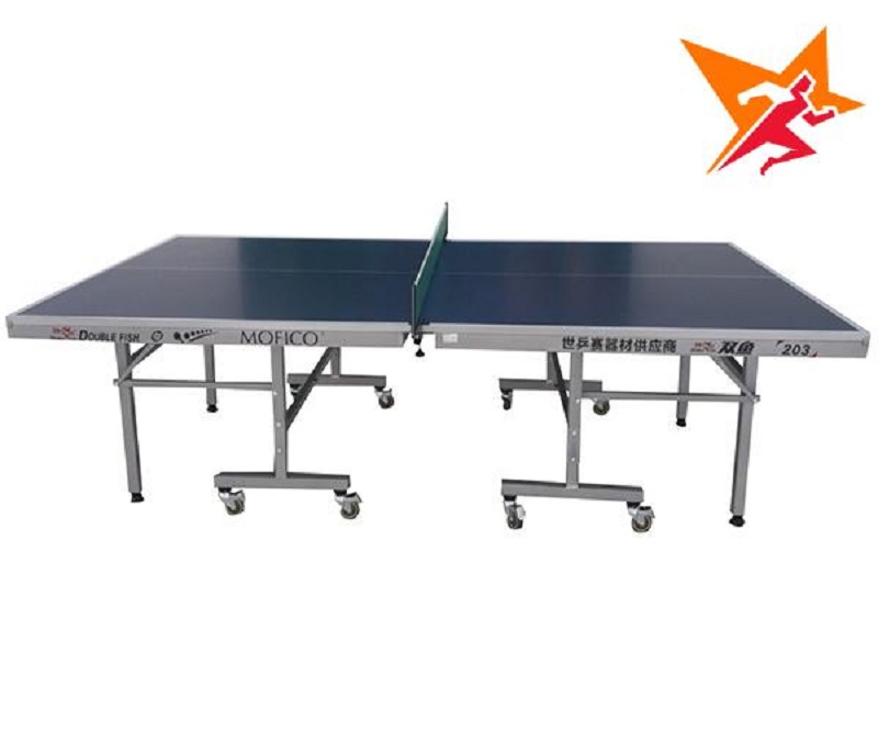 Mẫu bàn bóng bàn Double Fish 221A