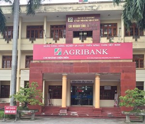 Thi công sân cầu lông tại ngân hàng Agribank chi nhánh Điện Biên