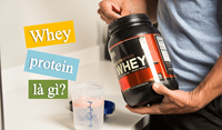 Hướng dẫn về Whey Protein