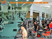 TRANG THIẾT BỊ PHÒNG TẬP THỂ HÌNH (GYM)