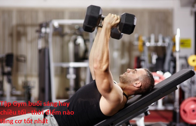 Tập Gym buổi sáng hay chiều tối - thời điểm nào tăng cơ tốt nhất