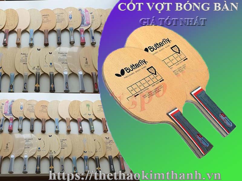 CỐT VỢT BÓNG BÀN BUTTERFLY TAMCA VÀ TƯ VẤN MUA VỢT BÓNG BÀN TỐT NHẤT